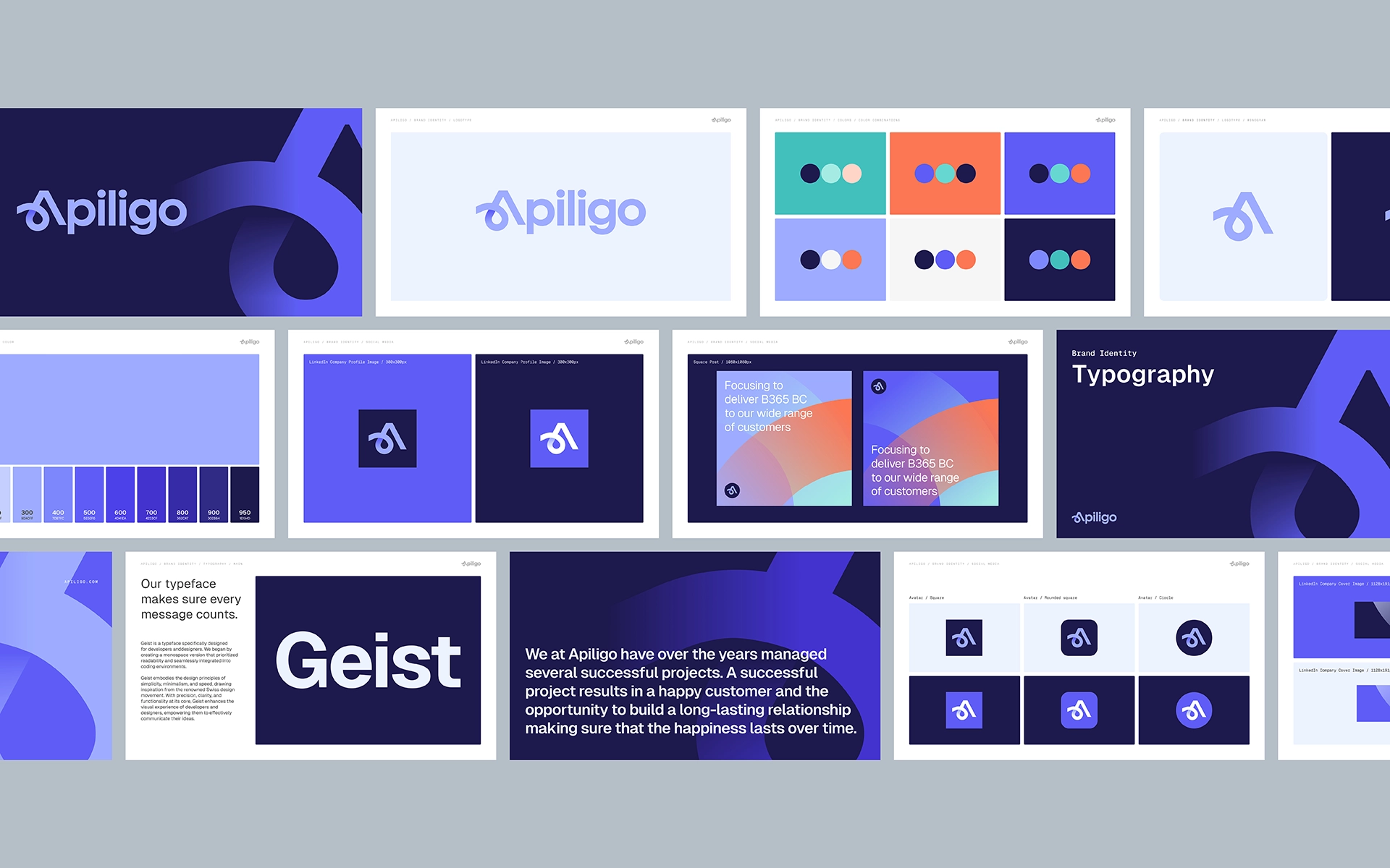 Apiligo - Brand Guidelines - Logotype - Website Design - Wordpress