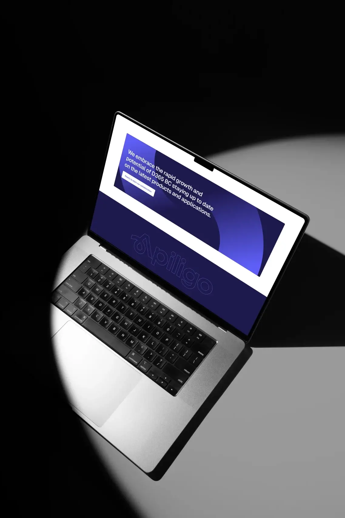 Apiligo - Website Design - Brand - Wordpress